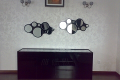 portofoliu (12)
